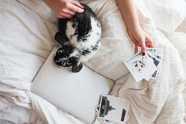 Osoba sedí na posteli, prezerá si fotografie a sedí pri nej zajac.jpg
